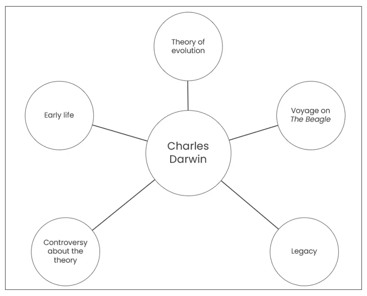 spider-diagram-chart-2