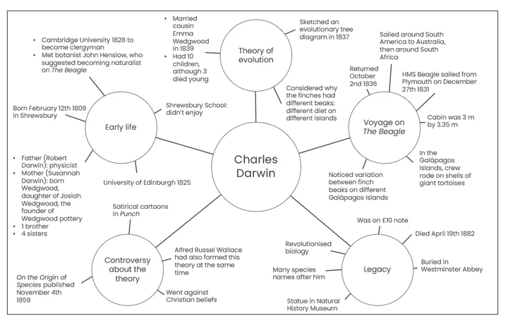 spider-diagram-chart-3