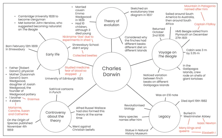 spider-diagram-chart-4