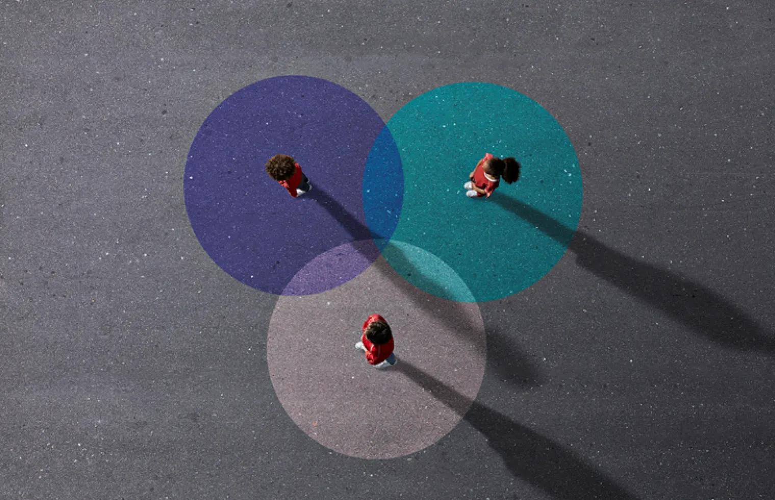 Graphic Organisers - Venn Diagrams