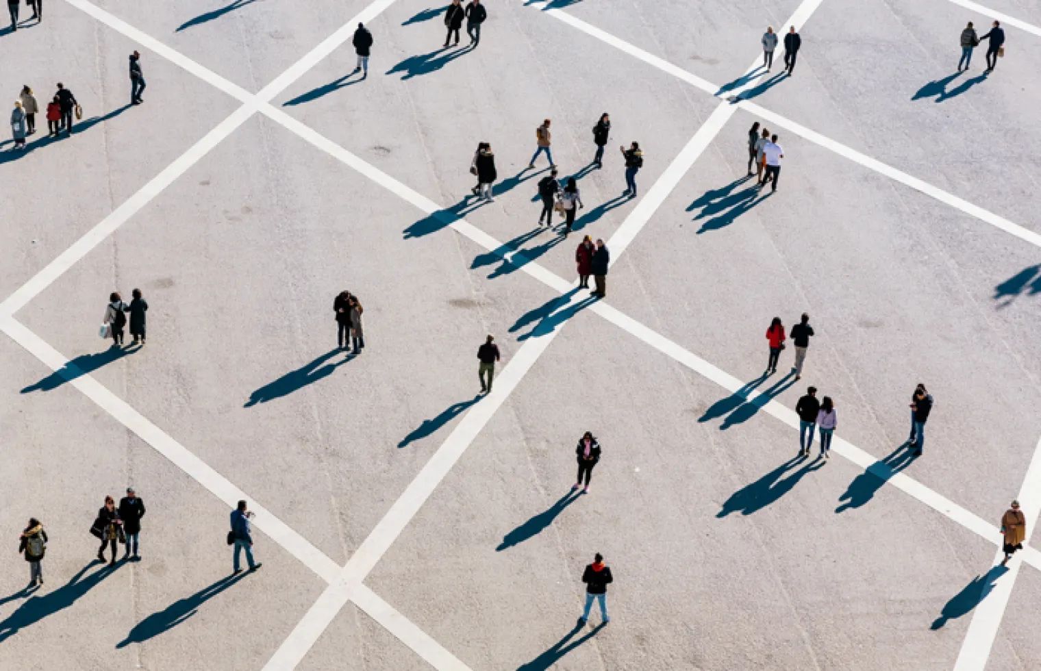 Graphic Organisers - Carroll Diagrams