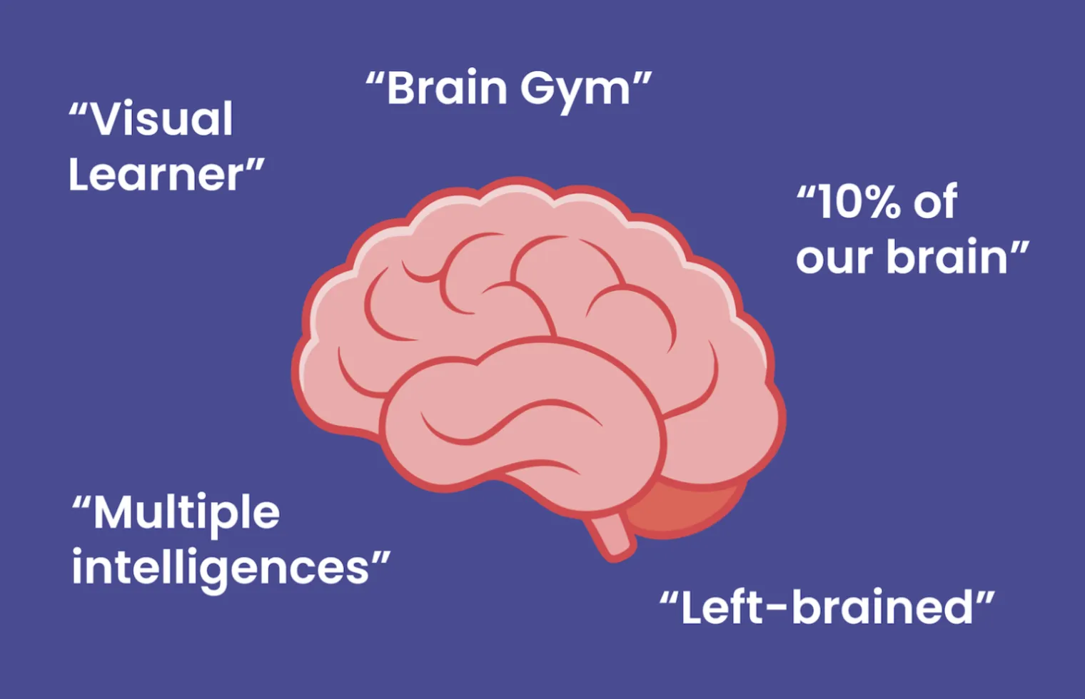 Learning Styles, Left-Brain Learners and Other Neuromyths (Part 1)…