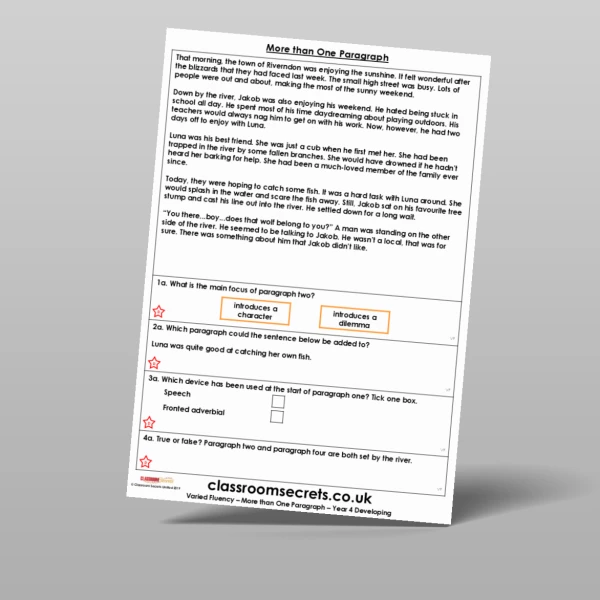 An image of the More than One Paragraph Varied Fluency Resource