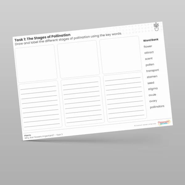 An image of the Lesson 2: The Stages of Pollination Worksheet Resource