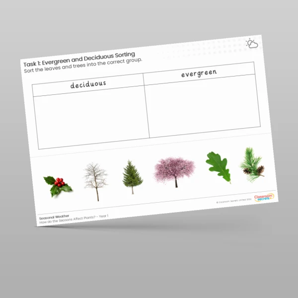 An image of the Lesson 3: Deciduous and Evergreen Sorting Worksheet Resource