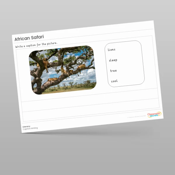 An image of the Amazing World - African Safari Literacy Activities Resource