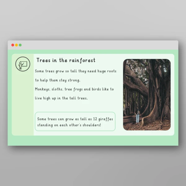 An image of the Amazing World - Rainforests Introductory PPT Resource