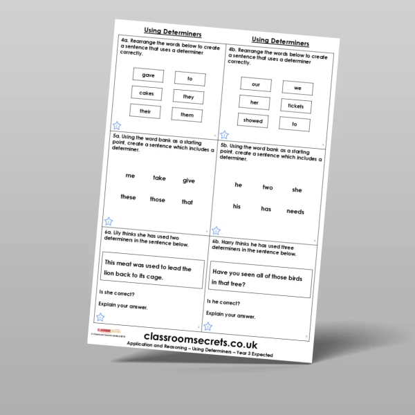 An image of the Using Determiners Application and Reasoning Resource