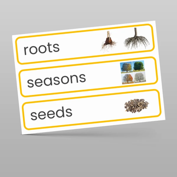 An image of the Plants Display Pack Resource