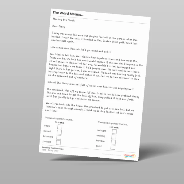 An image of the The Word Means Reading Test Practice Resource