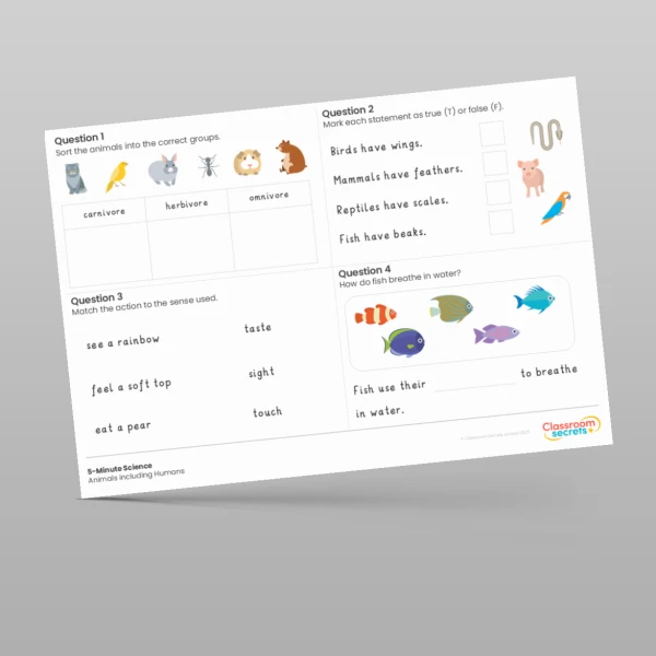 An image of the Animals including Humans 5-Minute Science Resource