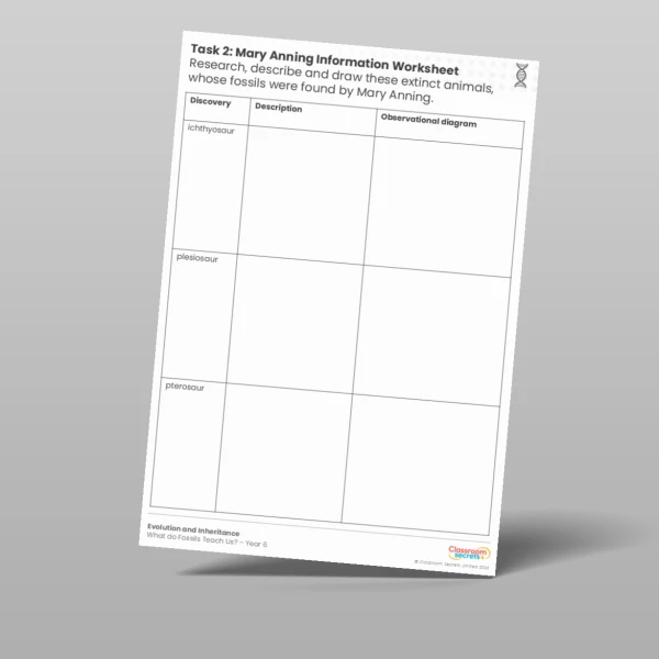 An image of the Lesson 1: Mary Anning Information Worksheet Resource