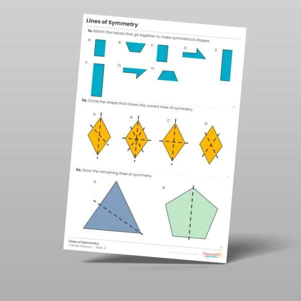 Year 4 Lines of Symmetry Varied Fluency