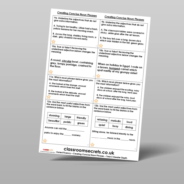 An image of the Creating Concise Noun Phrases Varied Fluency Resource