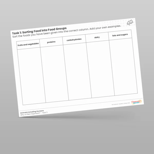 An image of the Sorting Food into Food Groups Worksheet Resource