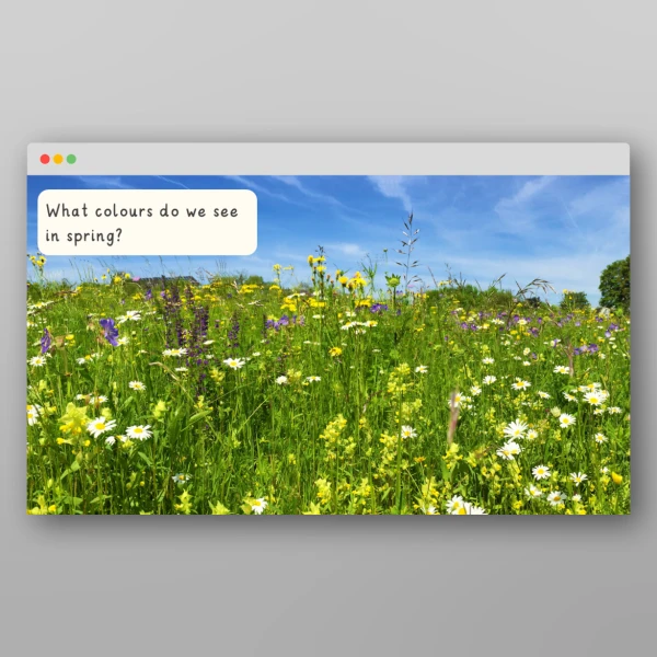 An image of the Spring I Wonder Discussion Prompts Resource