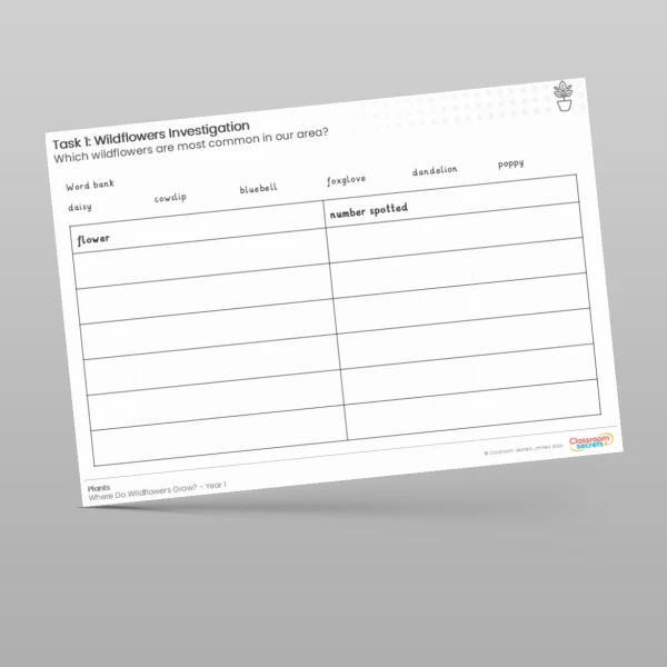 An image of the Lesson 5: Wildflowers Investigation Worksheet Resource