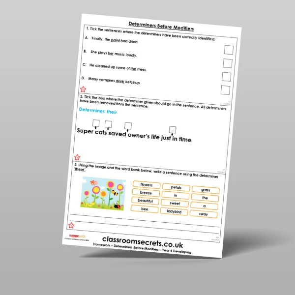 An image of the Determiners Before Modifiers Homework Resource