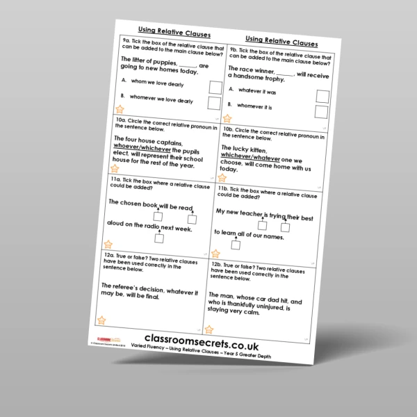 An image of the Using Relative Clauses Varied Fluency Resource