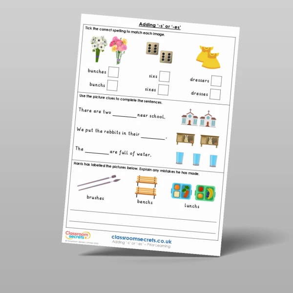 An image of the Adding ‘-s’ or ‘-es’ Prior Learning Resource