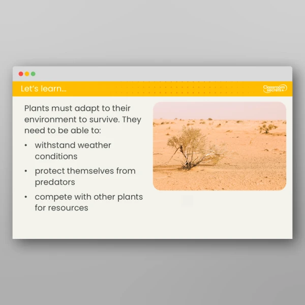 An image of the Lesson 6: How Have Plants Adapted? Investigation Lesson Resource