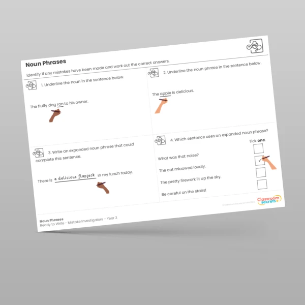 An image of the Noun Phrases Mistake Investigators Resource