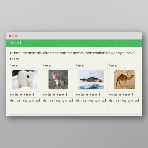 An image of the Comparing Animals in Hot and Cold Regions Geography PowerPoint Resource