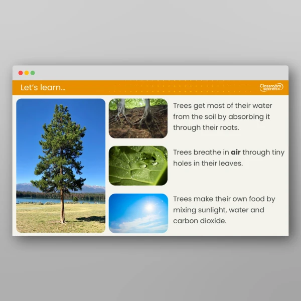 An image of the Lesson 3: What Do Living Things Need to Survive? Lesson Resource