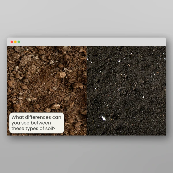 An image of the Lesson 6: Which Type of Soil Holds the Most Water? Investigation Resource