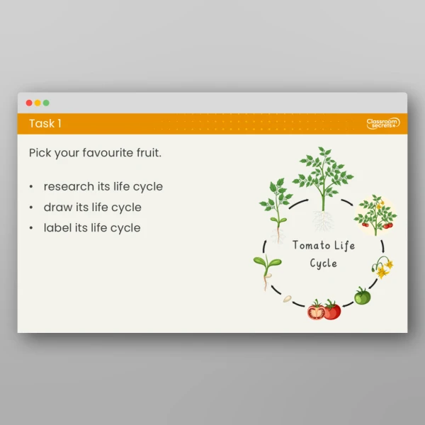 An image of the Lesson 5: How Do Different Plants Grow? Resource