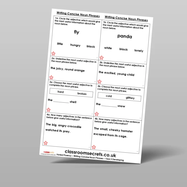 An image of the Writing Concise Noun Phrases Varied Fluency Resource
