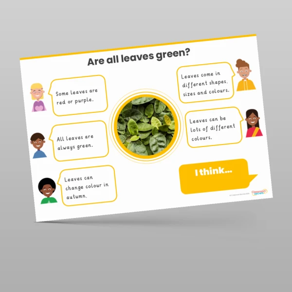 An image of the Plants Concept Cartoons Resource