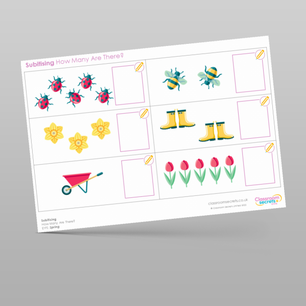 Eyfs Subitising How Many Are There Learning Activity Resource ...