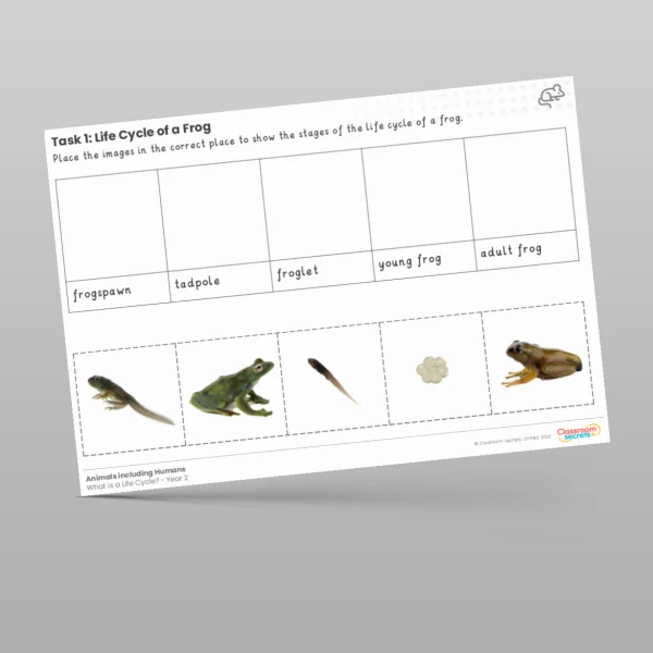 An image of the Lesson 2: Life Cycle of a Frog Worksheet Resource