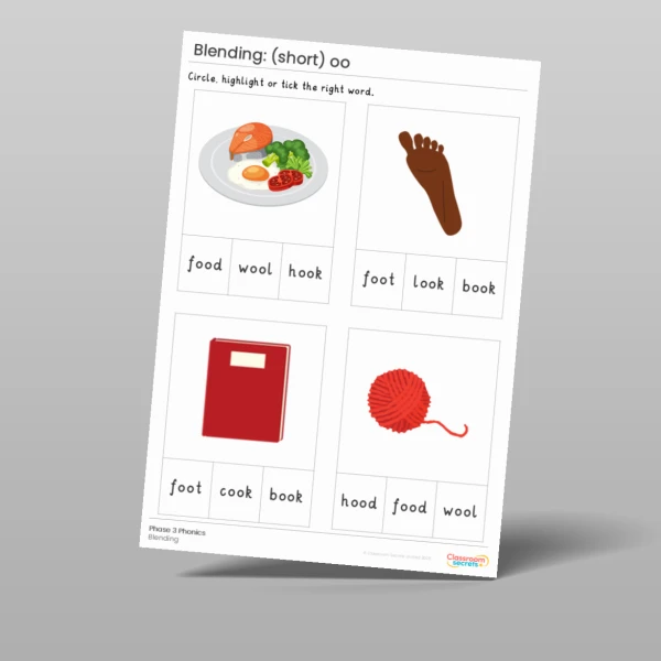 An image of the Phonics Blending Activities: short oo Resource