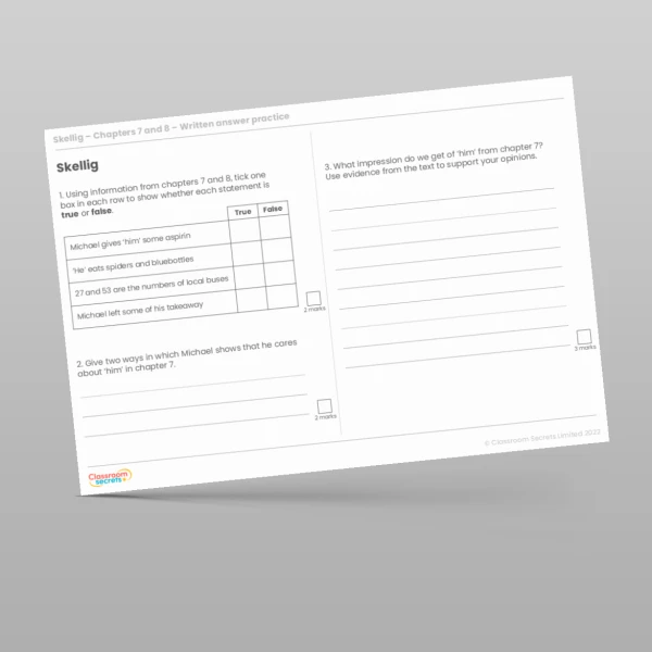 An image of the Reading Skills - Skellig - Chapters 7 & 8 Resource