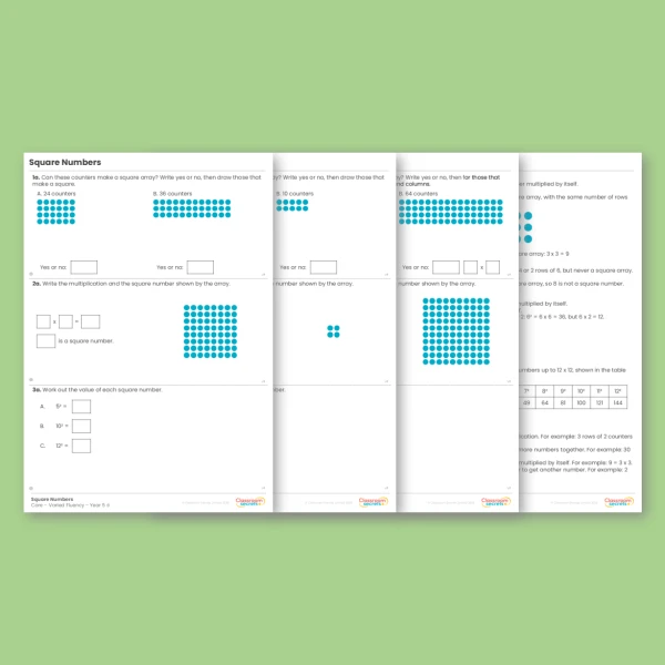 An image of the Square Numbers Varied Fluency Resource
