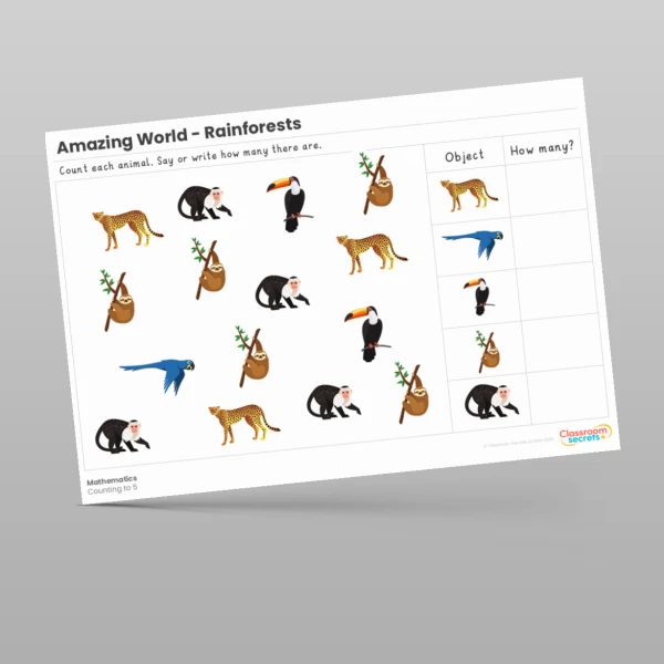An image of the Amazing World - Rainforests Maths Activities Resource