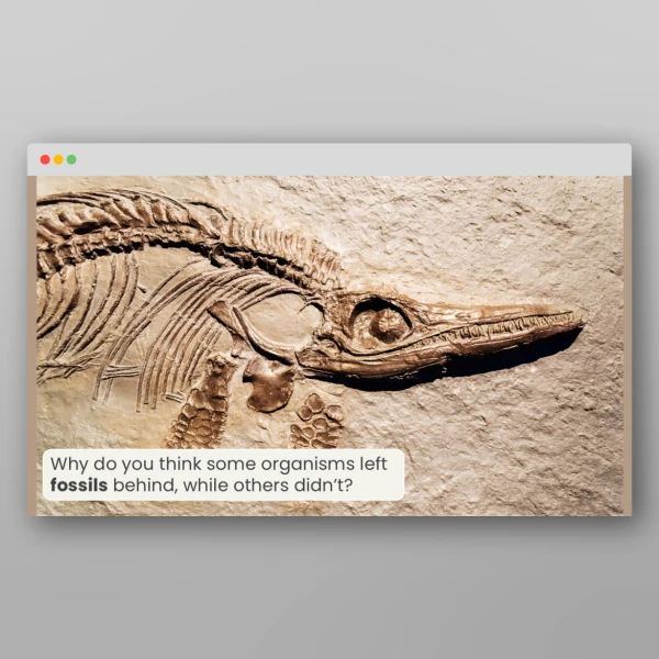 An image of the Lesson 4: How Can We Make a Fossil? Investigation Resource