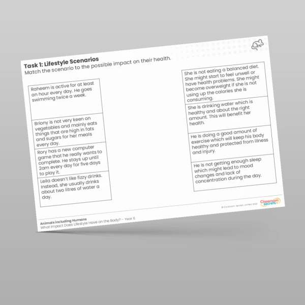 An image of the Lesson 4: Lifestyle Scenarios Worksheet Resource