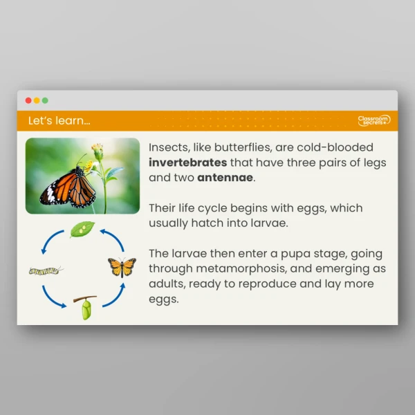 An image of the Lesson 5: Are Animal Life Cycles All the Same? Resource