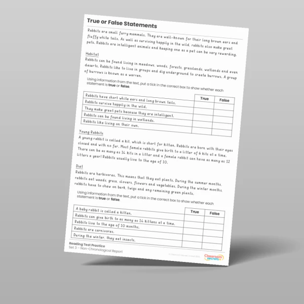 An image of the True or False Statements Reading Test Practice Resource