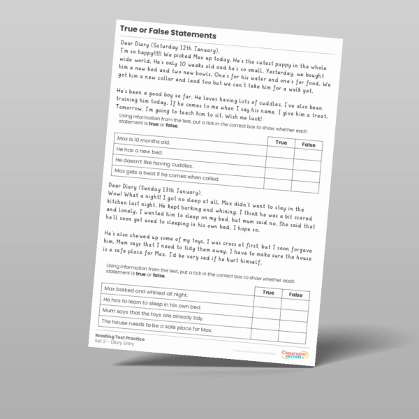 An image of the True or False Statements Reading Test Practice Resource