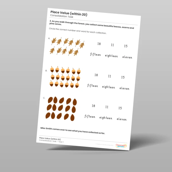 An image of the Place Value (within 20) Consolidation Task Resource