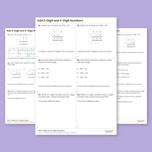Year 3 Add 2-Digit and 3-Digit Numbers Addition and Subtraction Reasoning and Problem Solving
