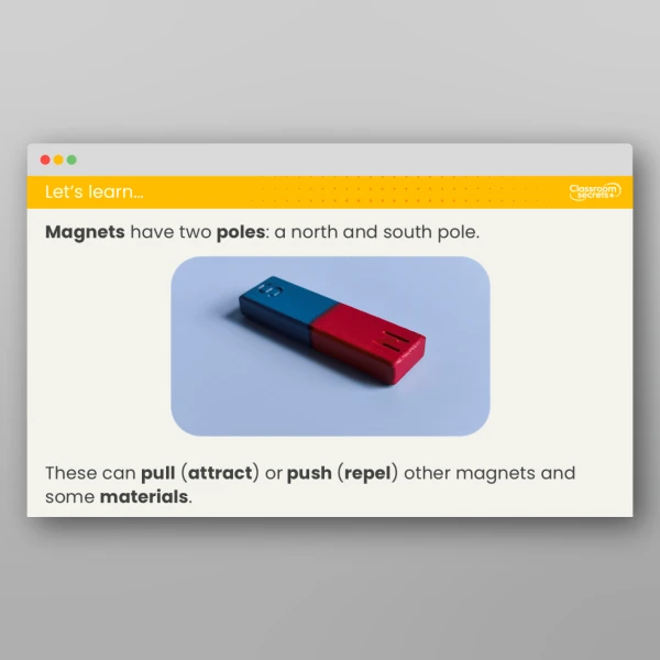An image of the Lesson 5: Which Materials Are Magnetic? Investigation Resource