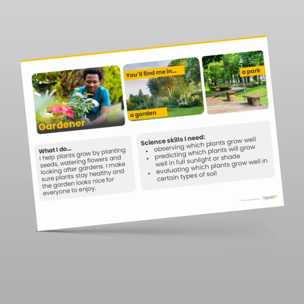 An image of the Plants Display Pack Resource