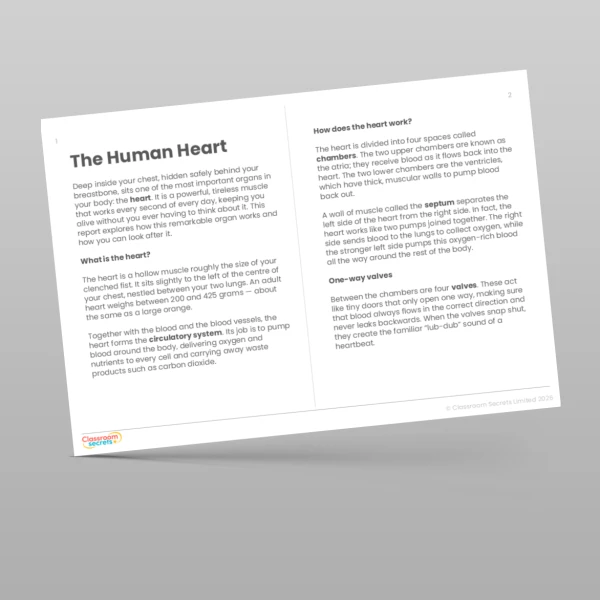 An image of the Reading Skills - The Human Heart Resource