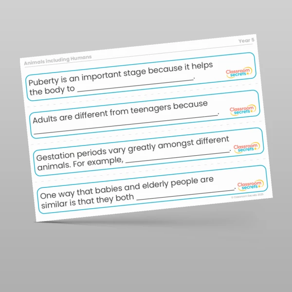 An image of the Animals including Humans Stem Sentences Resource