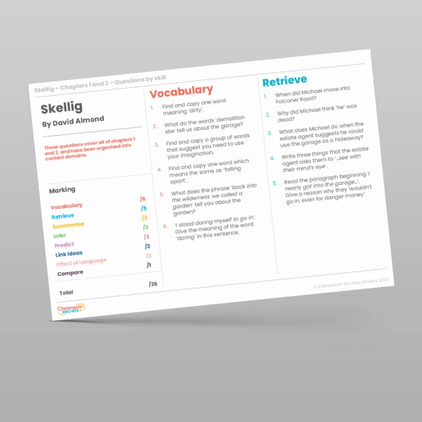 An image of the Reading Skills - Skellig - Chapters 1 & 2 Resource
